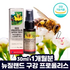 목스프레이 뿌리는 프로폴리스 액상 폴리폴리스 유해산소 구강 입속 항산화 황산화 BEEPROPOLIS 면역력 음식 스테아린산마그네슘없는 프로폴리스의효능 면역력음식 비프로폴리스, 1개, 30ml