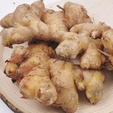 충남서산전영운님의흙생강5kg특품