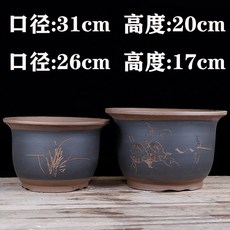 호른 퍼플샌드 난초화분 동근포트 군자란 라지스몰사이즈 전용 스킨답서스 녹색식물 다육 심플, C01-컬러/크기/수량 이상 파티 사진 표준, T26-대금 종흑 컬러스페셜 대+라지 입구직경