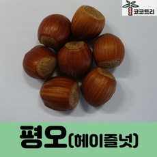 ad503cf845477ab1f92381000eba73d5dc49248f5b3c0f5b1d18bf558a4a.jpg