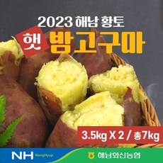 해남화산농협 2023 햇 밤고구마 3.5kg+3.5kg 총7kg, 없음