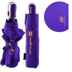 아놀드바시니우산