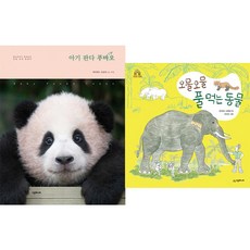 아기판다푸바오