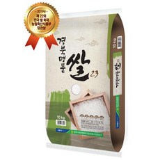 2020년8월데이즈드