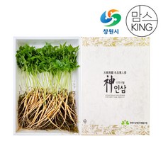 [창원몰]잎인삼파크 새싹삼 대(24CM이상) 50뿌리 선물세트, 1개