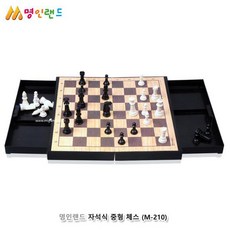 명인랜드 자석식 중형 체스 가족놀이 체스판 서양장기 오목 바둑 캠핑놀이, 단품