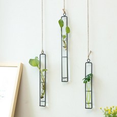 벽걸이수경재배