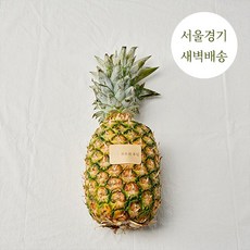 허니글로우파인애플2kg