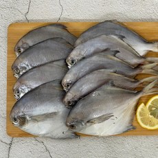 연안 반건조 소 병어 1팩 700g 내외 7~9미 (푸드), 연안 반건조 소병어1팩