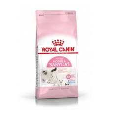  로얄캐닌 고양이사료 베이비캣 건식 4kg 면역력강화도움 / 습식파우치 증정 