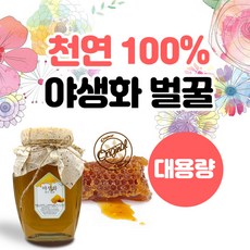 천연벌꿀선물세트1.2kg