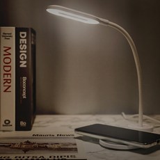 모니터독서등