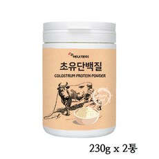 에너데이 초유단백질분말 단백질보충제 고단백 유청단백질 프로틴 파우더 초유 가루 균형단백질 효능 체중 몸매 관리 mbp 포대유청 류신 유산균 면역기능 IgF IgA lgG 초유제품 추천, 2통, 230g