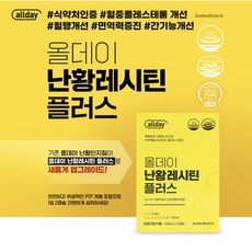 올데이 난황레시틴 플러스 60캡슐 [콜레스테롤 개선/간기능 개선/면역력 증진/혈행개선], 1개, 60정