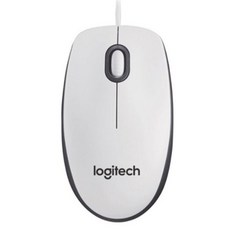 로지텍m100