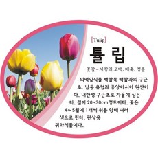 식물이름표제작