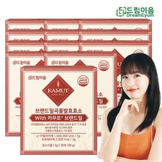 드림이음 역가수치 100만 프리미엄 카무트 효소 브랜드밀 곡류 발효 효소 카무트 호라산밀, 12박스, 90g