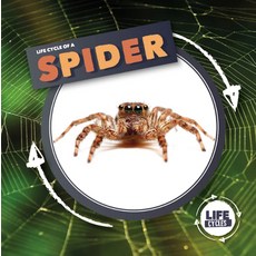 Spider Hardcover, Booklife, English, 9781839274763