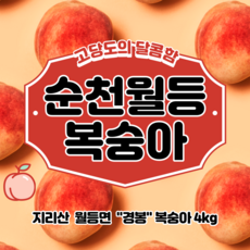 순천월등복숭아