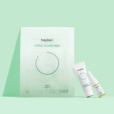 비플레인미니어처