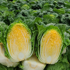 절임배추20kg TOP01