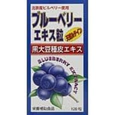 健美舎 일본직구 블루베리 추출물 인텔테인 120알, 1개, 상세참조