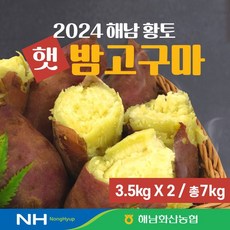 24년 화산농협 해남 황토 햇 밤고구마 7kg(3.5kg+3.5kg), 1개