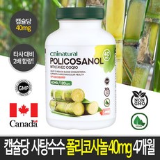 CBINatural 사탕수수 폴리코사놀 40mg 4개월 캐나다 생산 직발송, 120캡슐, 1개