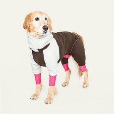ALPHAICON 알파아이콘 2019 Snow Dog Guard_Bicolor Gray /스노우독가드바이컬러그레이/ 반려견방한웨어/기능성도그웨어, SM