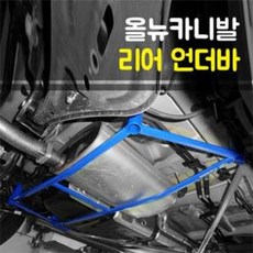 더뉴카니발쇼바