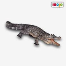 악어-추천-상품