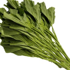 국내산 특품 아욱 1kg 나물 아욱국 가락시장 당일새벽경매, 국내산 아욱 1kg, 1개