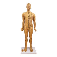 티지153 손마네킹 초선명 85CM 인체 혈위치 경락 마사지 남자 미드, 고화질 85CM 구리 남자 모델