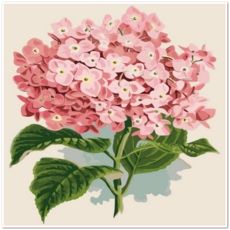 6ceb2211d392cfaf88295485de3aba4690f420fc39d930175b5bb3b5e21a.png