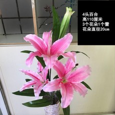 필름카메라현상기