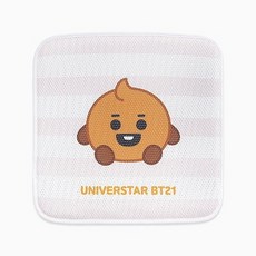 정품 BT21 베이비 슈키 메쉬 방석 방탄 BTS 아미 굿즈