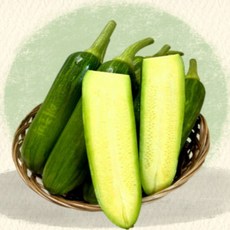 국내산 애호박 2kg (개당 350g 내외), 1개