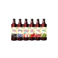 (블루베리) 광야오미자감식초매실복분자복숭아홍차과일요리실습발효석류깔라만시미초, 1세트