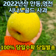 시나노스위트