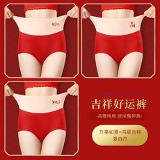 홍성파자미두수육조론