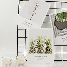 노블레스웨딩잡지