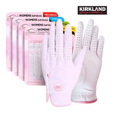 에어리움골프장갑