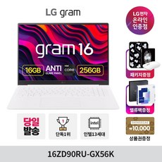 LG전자 2024 그램 16 코어i5 인텔 13세대, 스노우 화이트, 256GB, 16GB, Free DOS, 16ZD90RU-GX56K