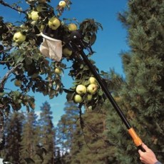 피스카스퀵피트