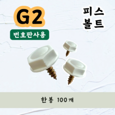 (G2)피스볼트 번호판사용 100개