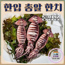 [돋을볕] 총알 한입 한치 (통찜 구이 라면등) 급속냉동, 4개, 500g