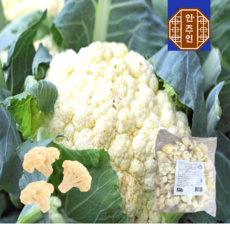 냉동 손질 컬리 콜리 플라워 세척 업소용 식자재, 1개, 1kg