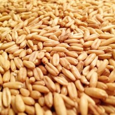 한끼농산오트밀 TOP01