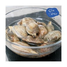 [남해바다] 왕바지락 1kg, 상세 설명 참조