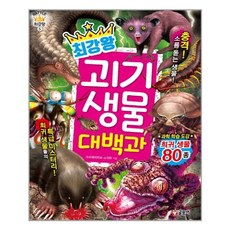 최강왕시리즈